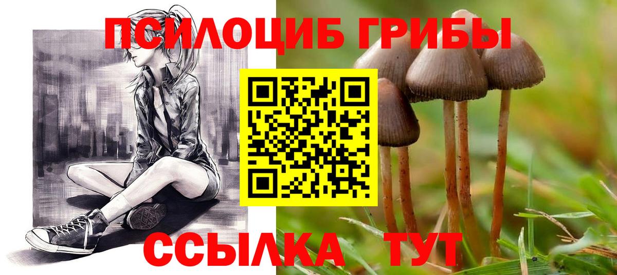 Галлюциногенные грибы Psilocybine cubensis  Вход с VPN  Куйбышев 